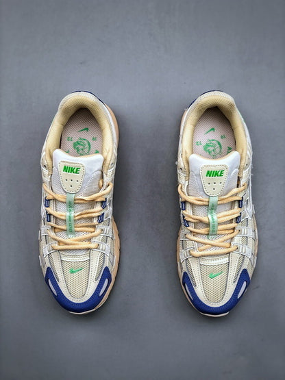 Nike P-6000